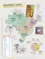 A maior diversidade de plantas do mundo